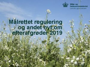 Mlrettet regulering og andet nyt om efterafgrder 2019