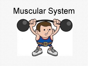 Purpose of muscular system