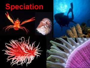 Speciation Todays OUTLINE 1 Geographic Mechanisms of Speciation