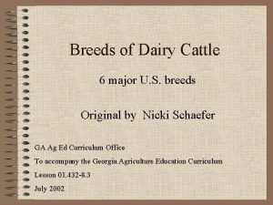 6 breeds of dairy cattle