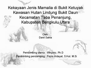 Kekayaan Jenis Mamalia di Bukit Ketuyak Kawasan Hutan