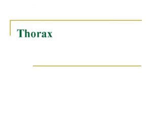Regio thorax