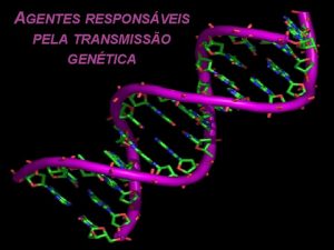 AGENTES RESPONSVEIS PELA TRANSMISSO GENTICA PARA COMPREENDER O