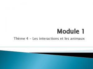 Module 1 Thme 4 Les interactions et les