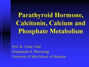 Parathyroid Hormone Calcitonin Calcium and Phosphate Metabolism Prof