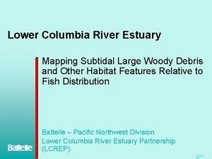 Lower Columbia River Estuary Mapping Subtidal Large Woody