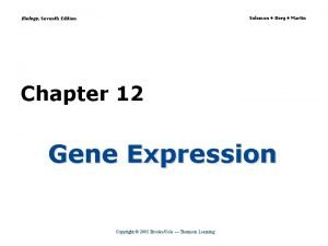 Biology Seventh Edition Solomon Berg Martin Chapter 12