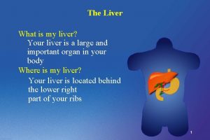 The Liver What is my liver Your liver