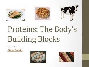 Body's building blocks