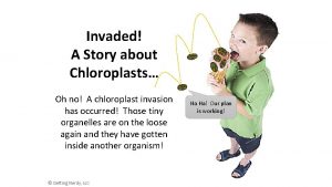 Invaded A Story about Chloroplasts Oh no A