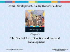 Child Development 3e by Robert Feldman Chapter 3
