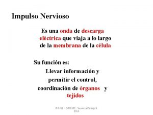 Impulso Nervioso Es una onda de descarga elctrica