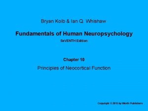 Fundamentals of human neuropsychology