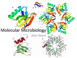Molecular Microbiology Alan Ward Molecular Microbiology Definition Molecular