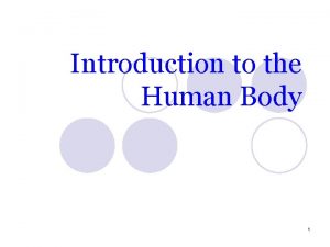 Introduction to the Human Body 1 Anatomical position