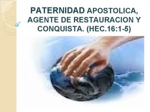 Paternidad apostólica