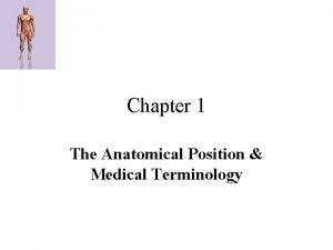 Chapter 1 The Anatomical Position Medical Terminology The