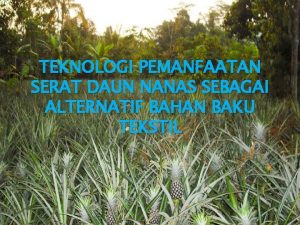 TEKNOLOGI PEMANFAATAN SERAT DAUN NANAS SEBAGAI ALTERNATIF BAHAN