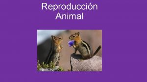 Reproduccin Animal POR QUE NOS REPRODUCIMOS Heredar Genes
