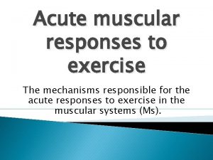 Muscular system response to exercise