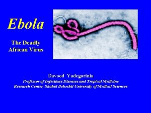 Ebola The Deadly African Virus Davood Yadegarinia Professor