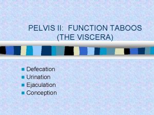 PELVIS II FUNCTION TABOOS THE VISCERA Defecation n