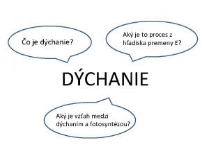 Rovnica dychania