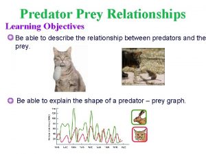 Predation and prey