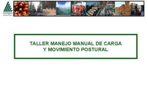 TALLER MANEJO MANUAL DE CARGA Y MOVIMIENTO POSTURAL