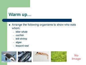 Create a food chain of the following organisms