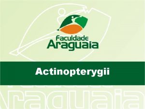 Actinopterygii Actino grego Raio Actinopterygii Pteryg grego Nadadeira