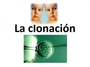 Clonacin