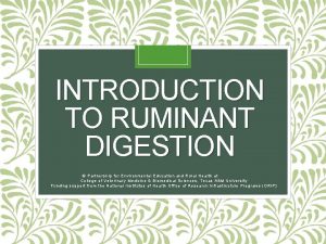 Digestion in ruminants diagram