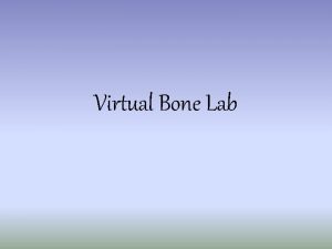 Virtual bone lab