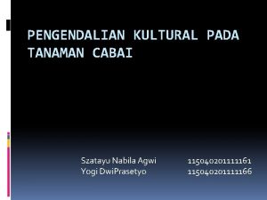 PENGENDALIAN KULTURAL PADA TANAMAN CABAI Szatayu Nabila Agwi