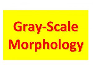 Gray-scale morphology