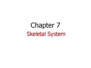 Chapter 7 Skeletal System Copyright The Mc GrawHill