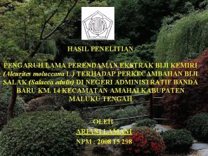 HASIL PENELITIAN PENGARUH LAMA PERENDAMAN EKSTRAK BIJI KEMIRI