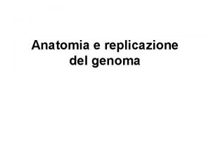 Anatomia e replicazione del genoma Le funzioni vitali