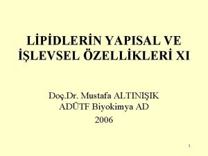 LPDLERN YAPISAL VE LEVSEL ZELLKLER XI Do Dr