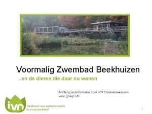 Voormalig Zwembad Beekhuizen en de dieren die daar