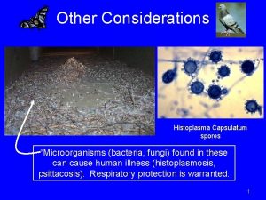 Other Considerations Histoplasma Capsulatum spores Microorganisms bacteria fungi