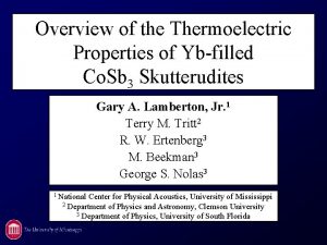 Overview of the Thermoelectric Properties of Ybfilled Co