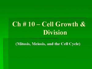 Ch 10 Cell Growth Division Mitosis Meiosis and