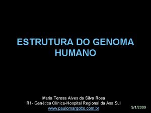 ESTRUTURA DO GENOMA HUMANO Maria Teresa Alves da