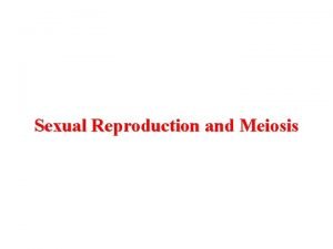 Sexual Reproduction and Meiosis Meiosis produces haploid cells