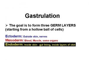 Gastrulation The goal is to form three GERM