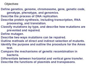 Objectives Define genetics genome chromosome genetic code genotype