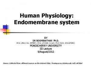 Human Physiology Endomembrane system BY DR BOOMINATHAN Ph