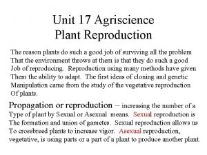 Unit 17 plant reproduction